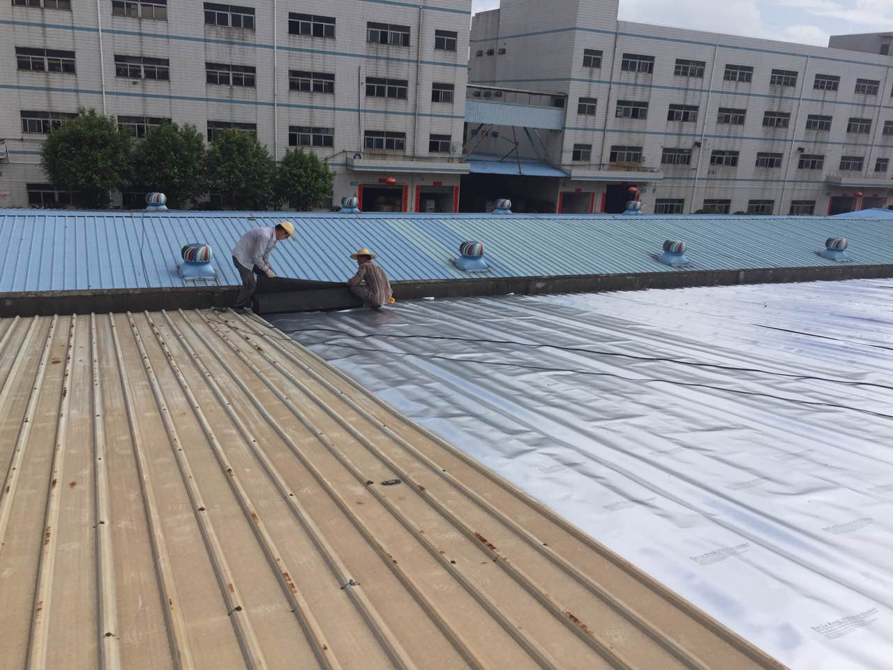 0243d8cfa36920c815865621b1619381_201606271628115181354.jpg